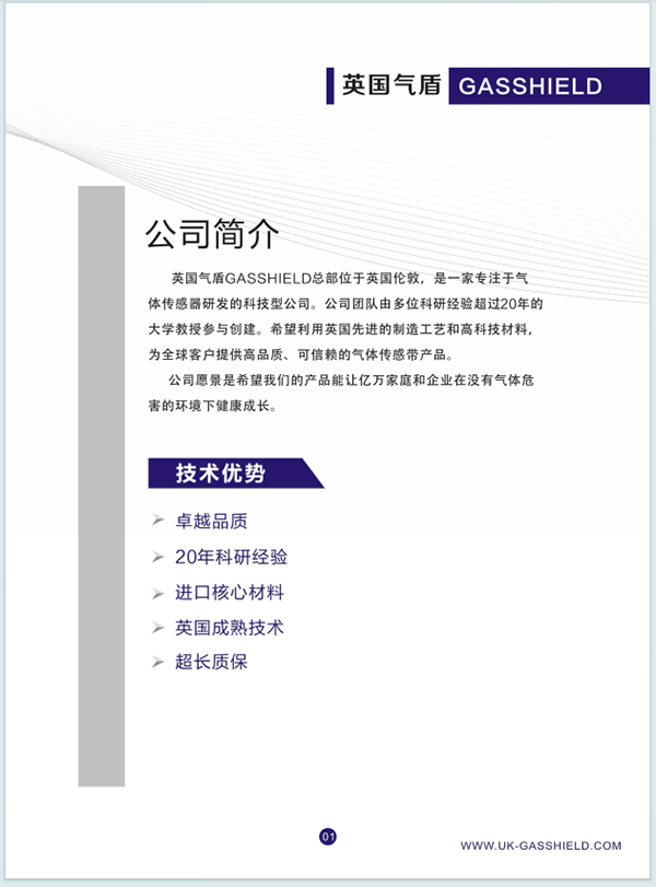 英國氣盾簡(jiǎn)介概述